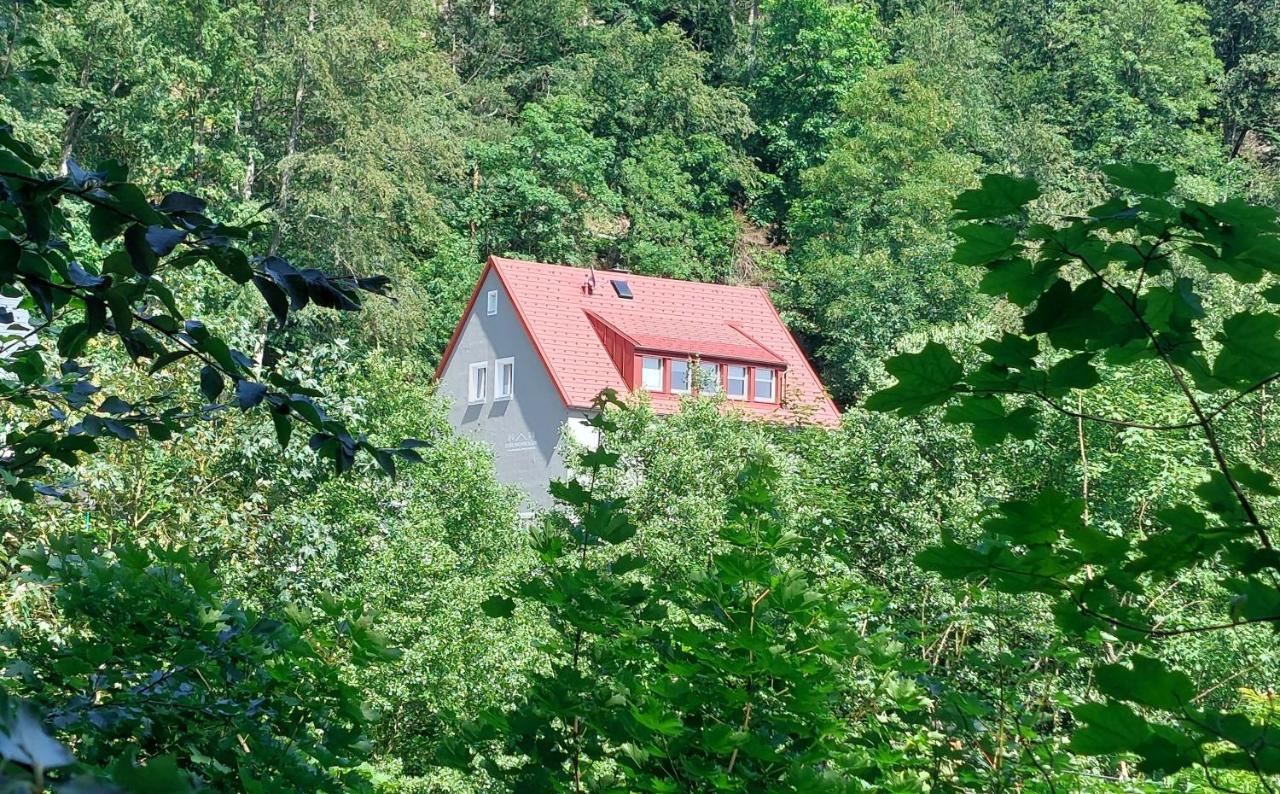 Apartmán Am Quellenhaeuschen Naila Exteriér fotografie