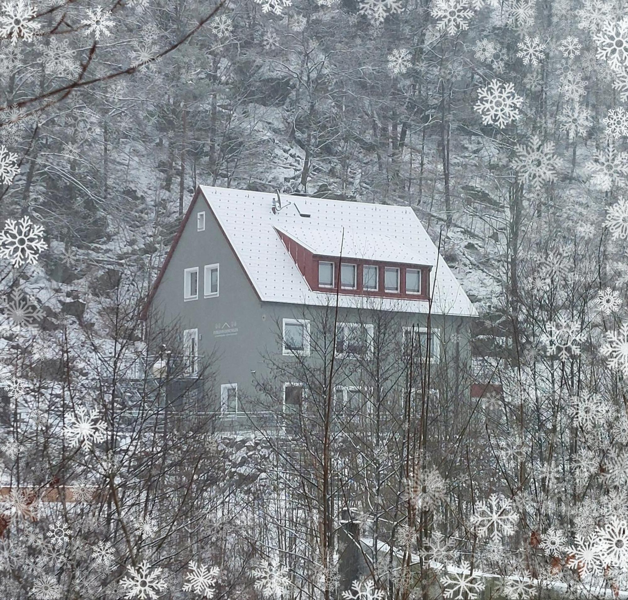 Apartmán Am Quellenhaeuschen Naila Exteriér fotografie